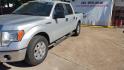 2013 Ford F-150 FX2 SuperCrew 5.5-ft. Bed 2WD (1FTFW1CF7DF) with an 5.0L V8 engine, 6-Speed Automatic transmission, located at 16710 Clay Rd., Houston, TX, 77084, (281) 859-7900, 29.834864, -95.656166 - Photo#5