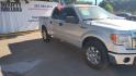 2013 Ford F-150 FX2 SuperCrew 5.5-ft. Bed 2WD (1FTFW1CF7DF) with an 5.0L V8 engine, 6-Speed Automatic transmission, located at 16710 Clay Rd., Houston, TX, 77084, (281) 859-7900, 29.834864, -95.656166 - Photo#6